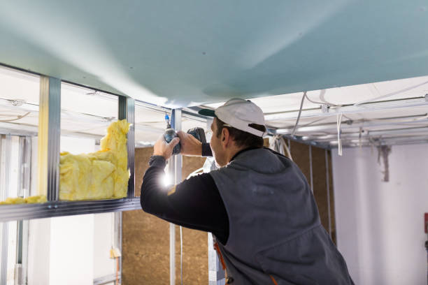 Insulation Contractors for Homes in Plymouth, MI